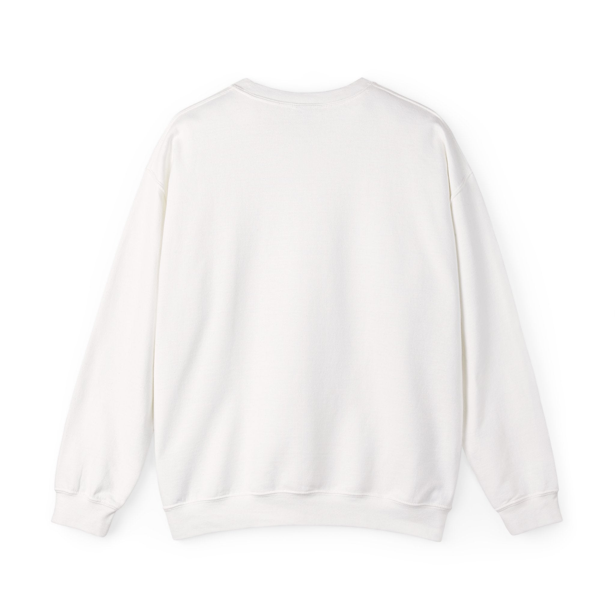 Learning Lights Crewneck Sweatshirt – Kids’ Educational Globe Design