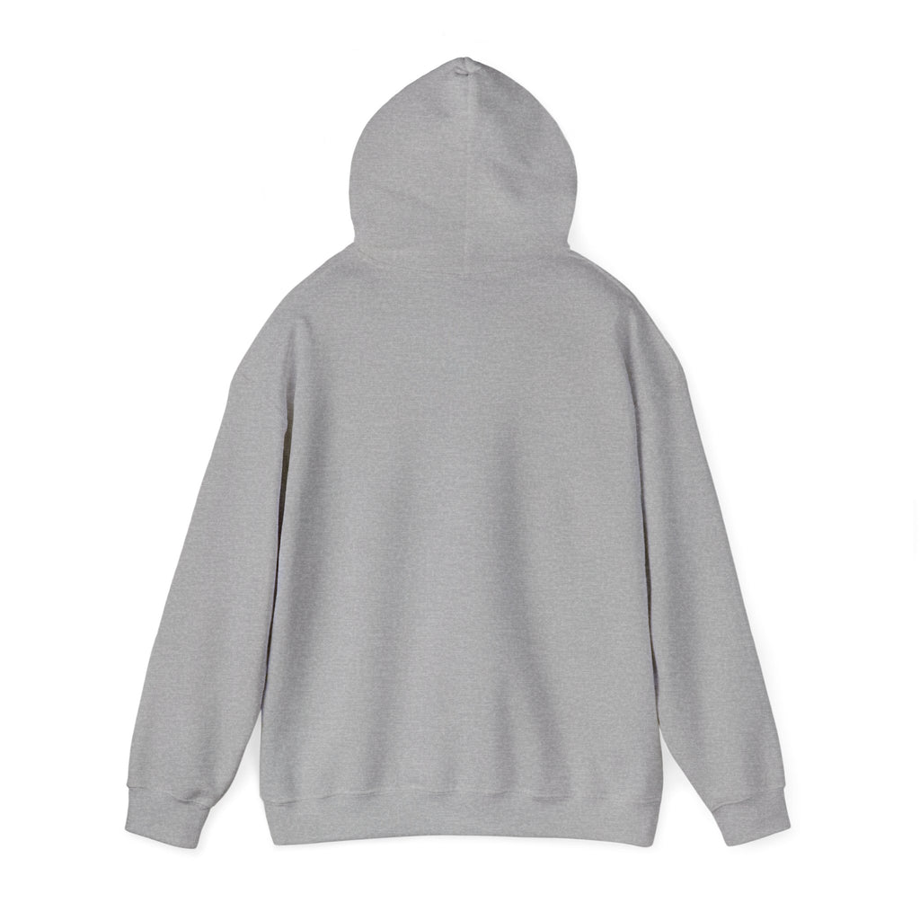 Hoodie — Colorful Earth & Peace Cartoon Graphic "Knowledge Before Power"