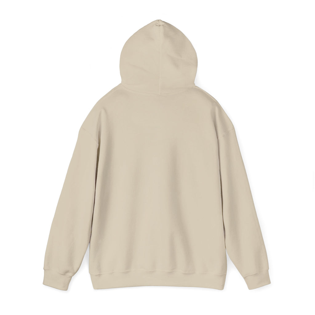 Hoodie — Colorful Earth & Peace Cartoon Graphic "Knowledge Before Power"