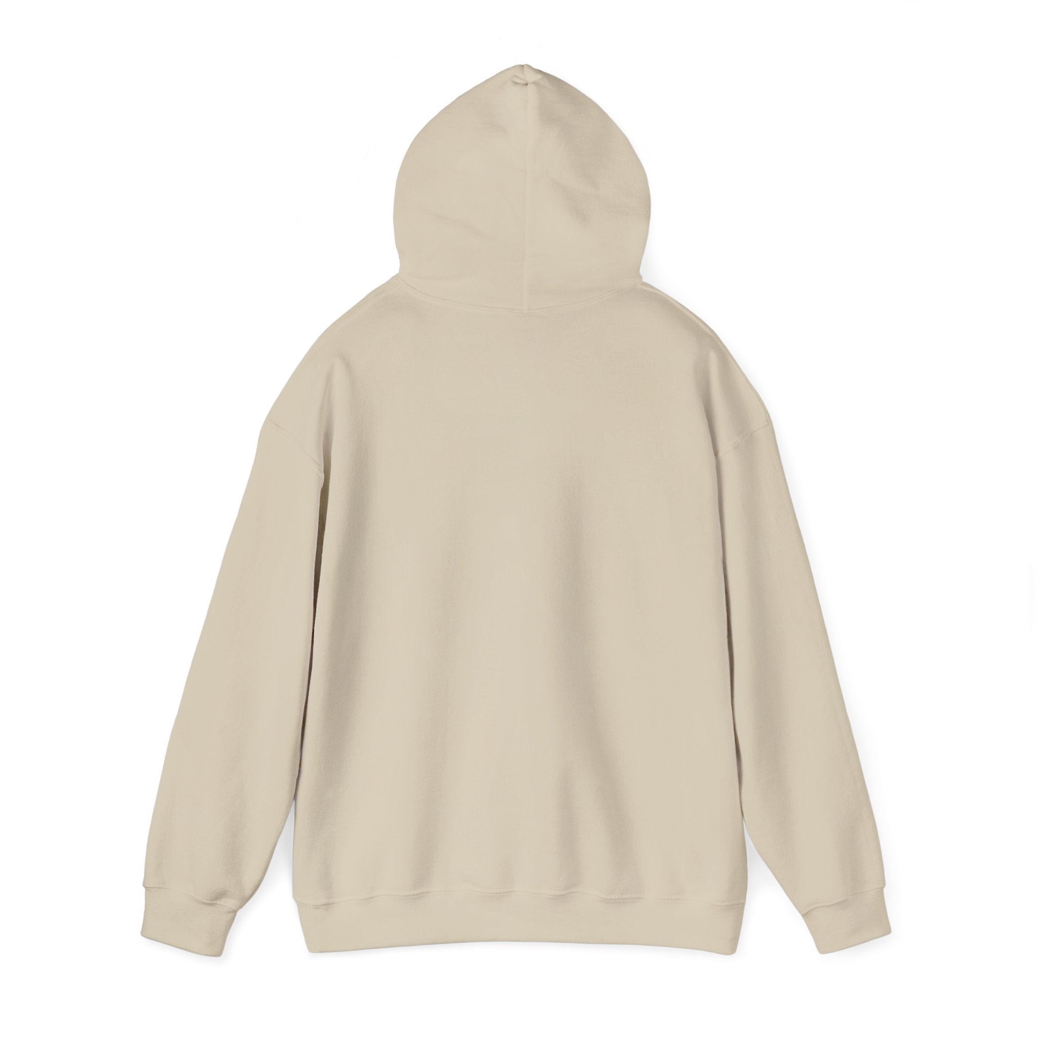 Hoodie — Colorful Earth & Peace Cartoon Graphic "Knowledge Before Power"