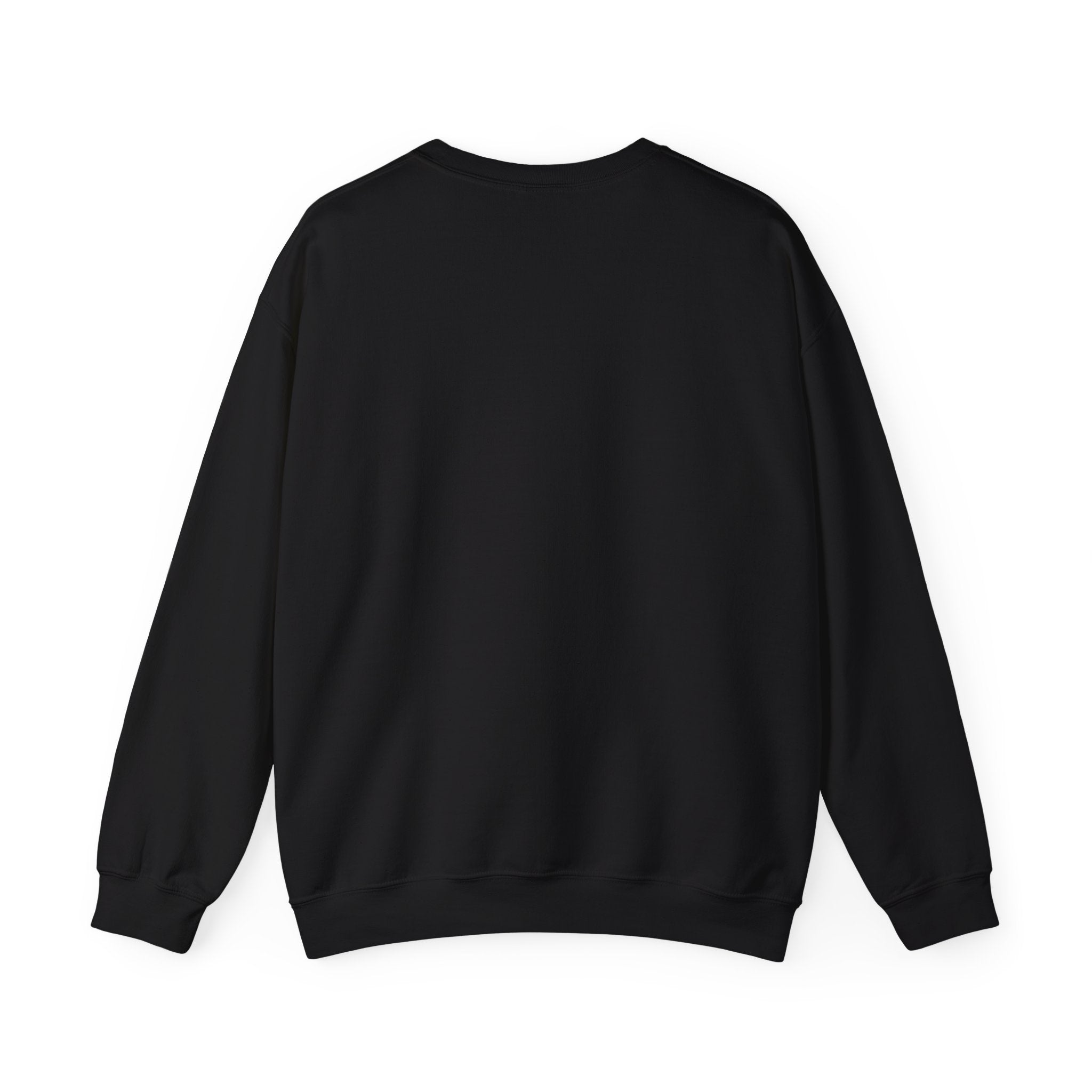 Learning Lights Crewneck Sweatshirt – Kids’ Educational Globe Design