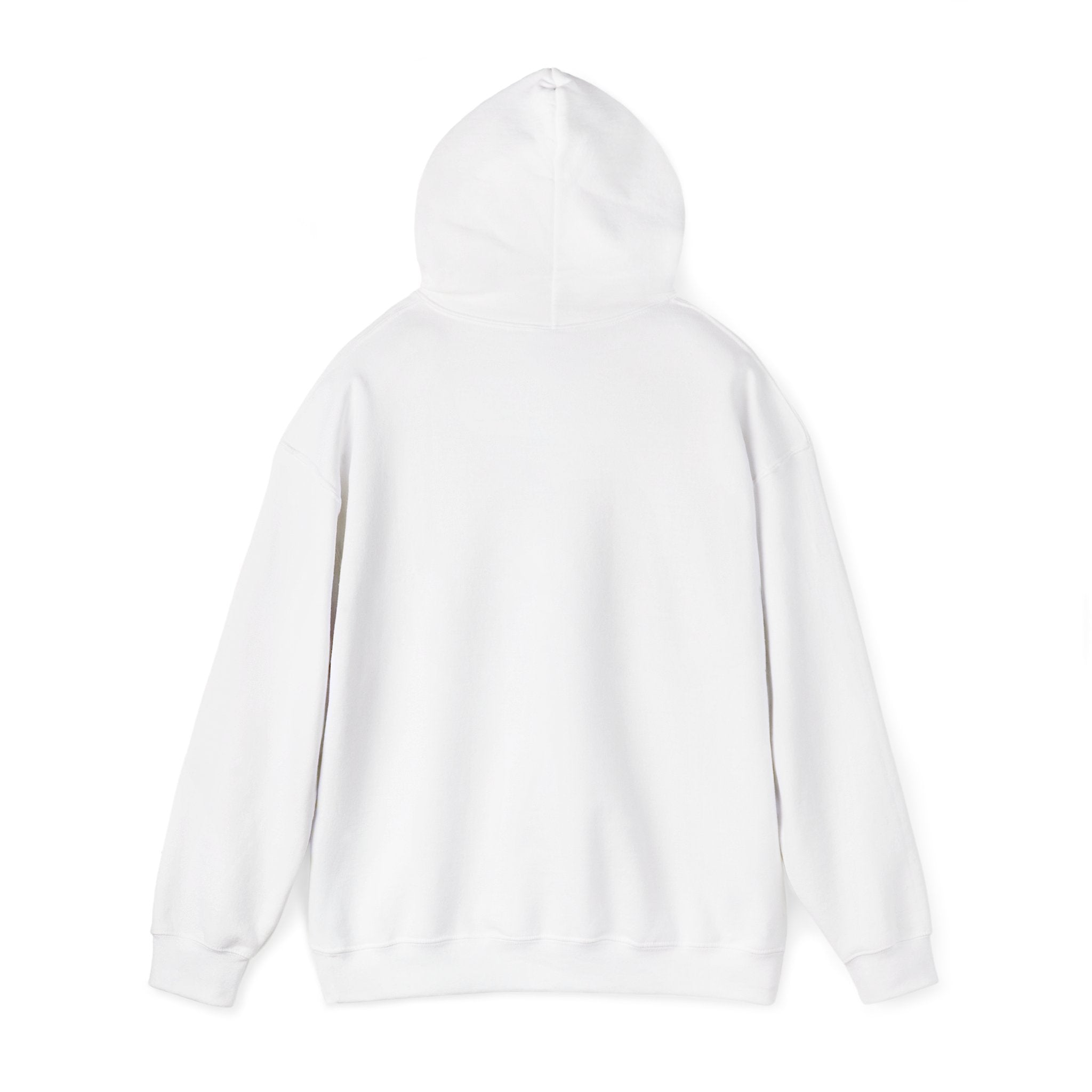 Hoodie — Colorful Earth & Peace Cartoon Graphic "Knowledge Before Power"