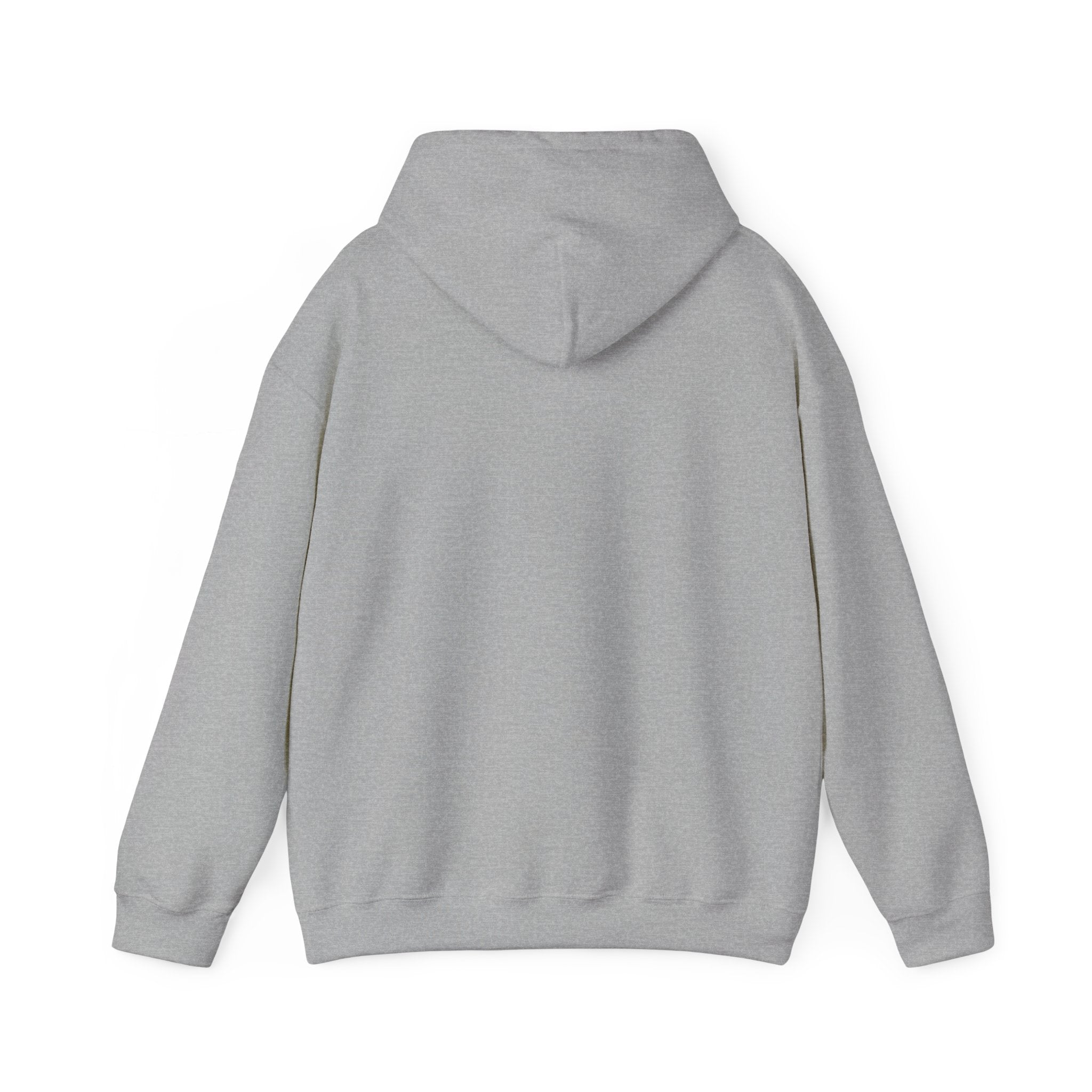 Hoodie — Colorful Earth & Peace Cartoon Graphic "Knowledge Before Power"