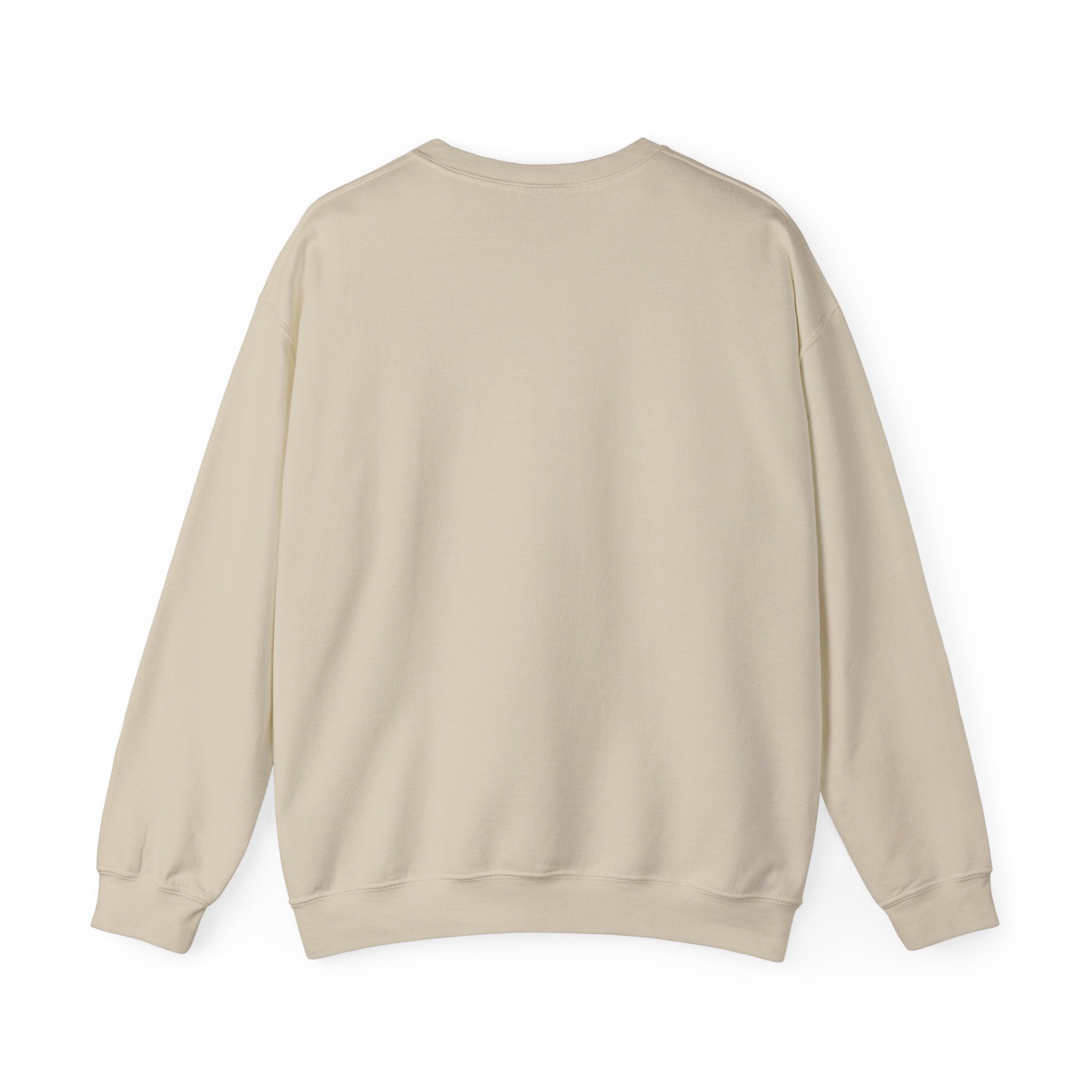 Learning Lights Crewneck Sweatshirt – Kids’ Educational Globe Design