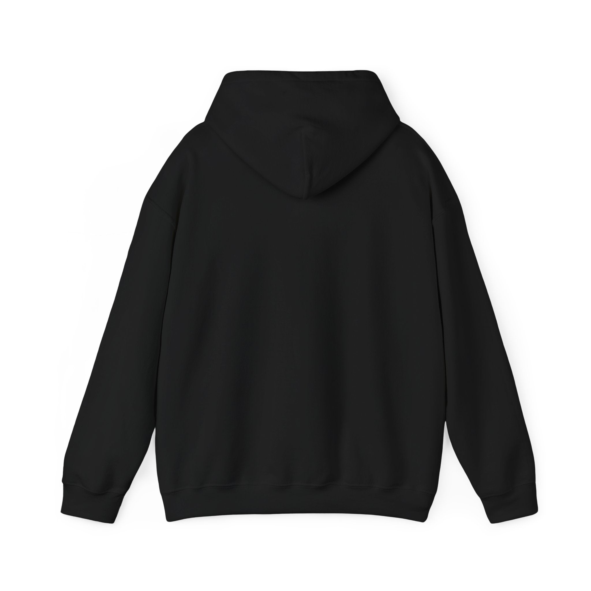 Hoodie — Colorful Earth & Peace Cartoon Graphic "Knowledge Before Power"